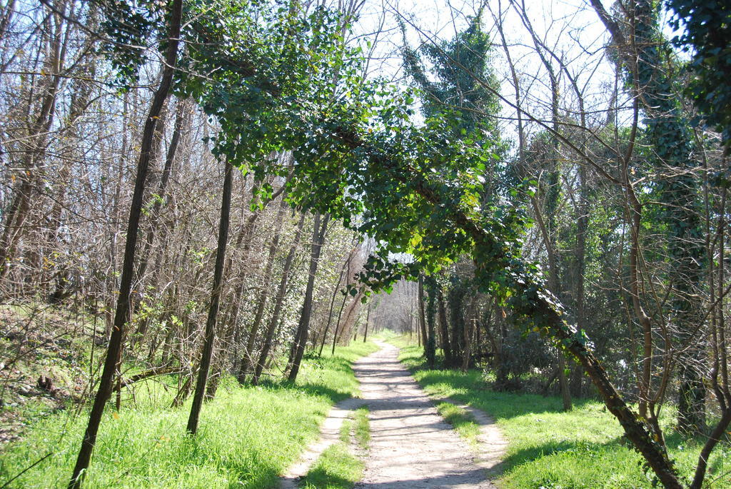B&B Percorso Verde Ponte Valleceppi Exterior foto